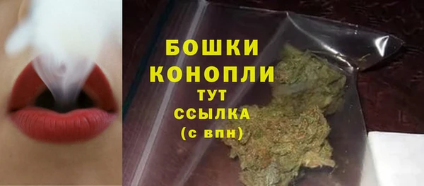 прущие грибы Козельск