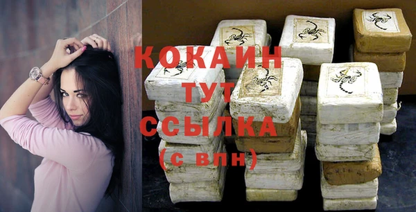 ГАЛЛЮЦИНОГЕННЫЕ ГРИБЫ Карталы