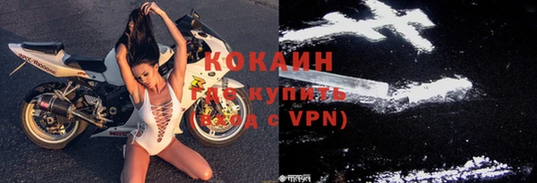 ГАЛЛЮЦИНОГЕННЫЕ ГРИБЫ Карталы
