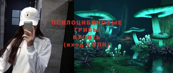 прущие грибы Козельск